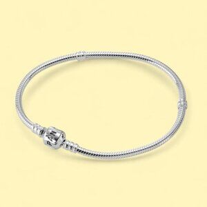 Pandora bracelet